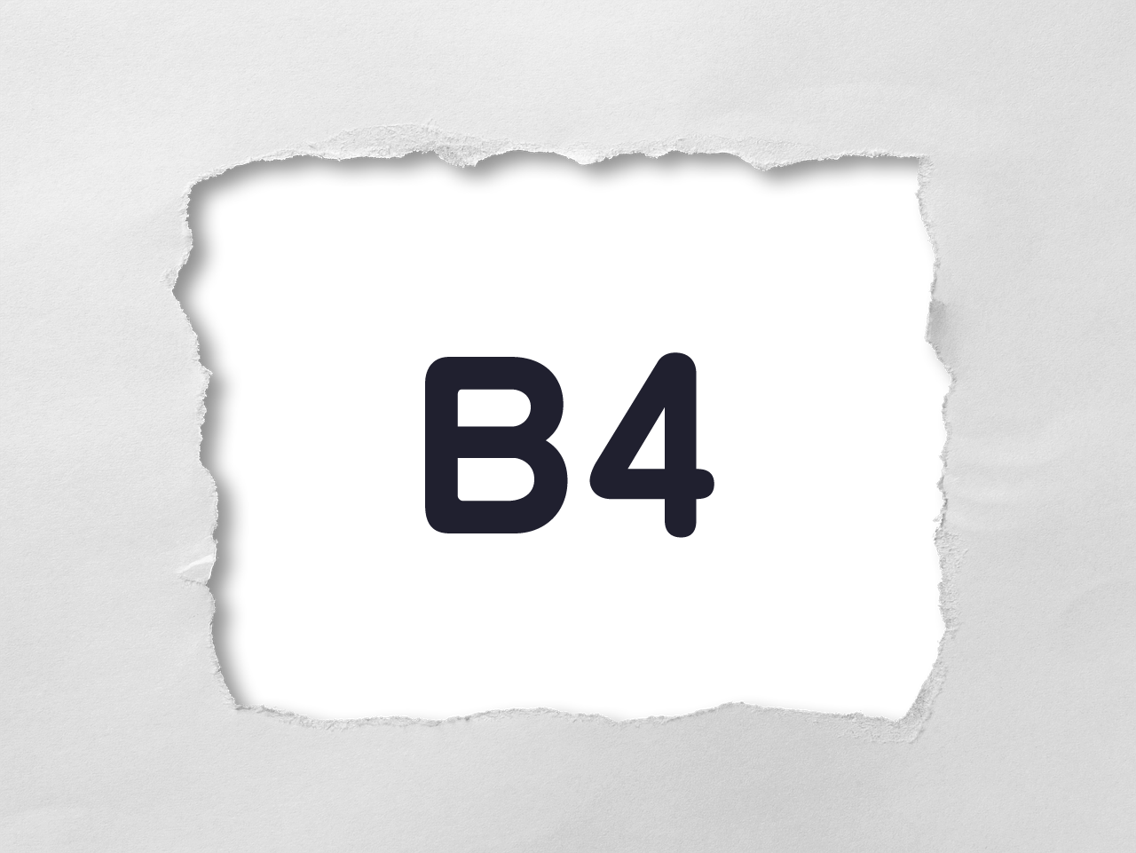 B4用紙サイズ・寸法（紙加工仕上寸法：JIS P 0138） JIS規格ポケットブック